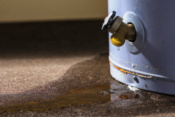 Best Water damage repair service  in Ocean Grove, NJ