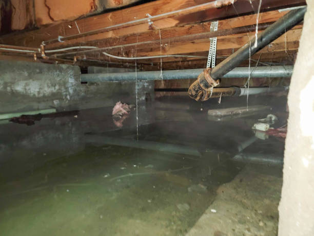 Best Ceiling water damage repair  in Ocean Grove, NJ