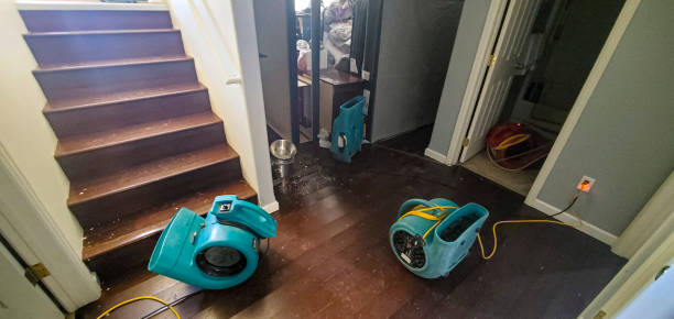 Best Flood damage cleanup  in Ocean Grove, NJ