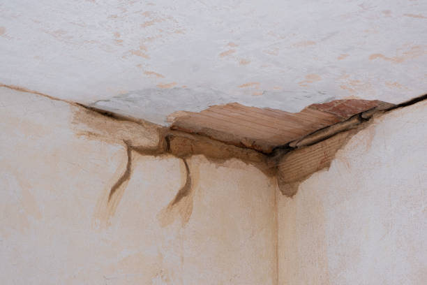 Best Commercial water damage restoration  in Ocean Grove, NJ