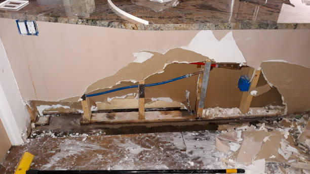 Best Basement water damage restoration  in Ocean Grove, NJ
