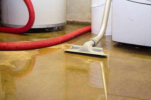 Best Water damage restoration specialists  in Ocean Grove, NJ