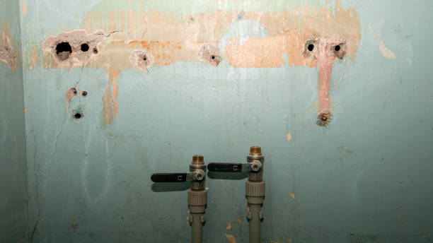 Best Sewage cleanup and water damage restoration  in Ocean Grove, NJ