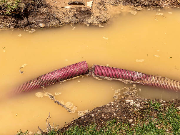 Best 24-hour water damage restoration  in Ocean Grove, NJ